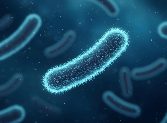 Microbial Testing